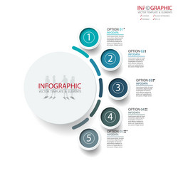 abstract element infographics 5 option design vector image