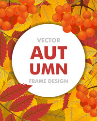 autumn vertical background with branch rowan vector image