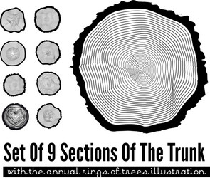 Tree Trunk Cross Sections vector image