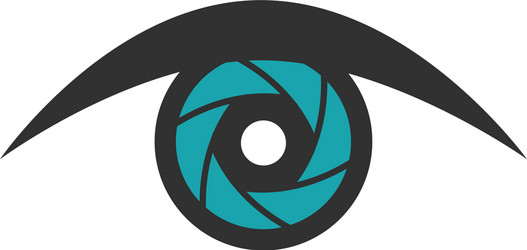 Camera Shutter & Eye Icon vector image