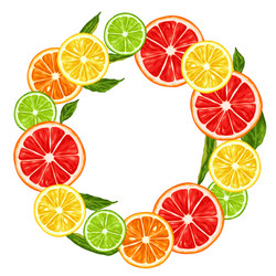 Frame with citrus fruits slices mix of lemon lime vector