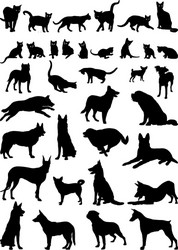 Silhouettes of Cats and Dogs Vector Image