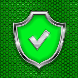 Green Shield Security Accept Symbol vector image