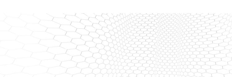 technology abstract background with hexagons mesh vector image