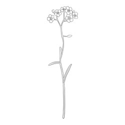 Forget Me Not Outline Vector Images 92 Forget Me Not Outline Vector Images 92