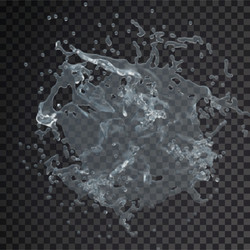 water splash drop isolated transparent 3d vector image