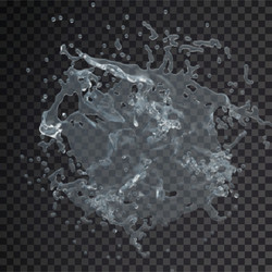 Water splash drop isolated transparent 3d vector