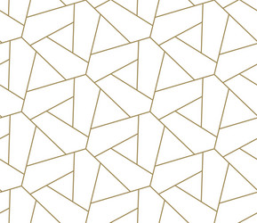 seamless pattern with abstract geometric line vector image