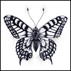 Butterfly Tattoo Vector Images (over 9,400) Butterfly Tattoo Vector Images (over 9,400)