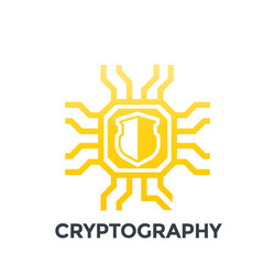 Cryptography icon on white vector