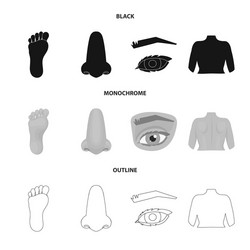 isolated object body and part icon collection vector image