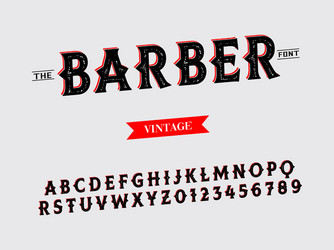 font alphabet script typeface handcrafted vector image