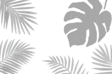 tropical leaves pattern art palm Vector Image