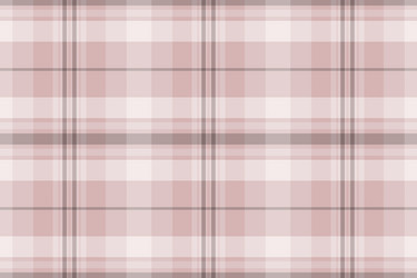 texture background pattern of seamless textile vector image