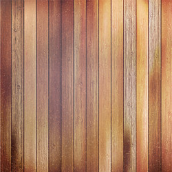Rustic Wood Panel Texture Vector Image