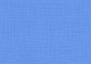 Mesh Grid Pattern vector image