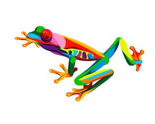 Tree frog Royalty Free Vector Image - VectorStock