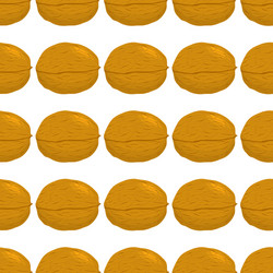 on theme big pattern identical types walnut vector image