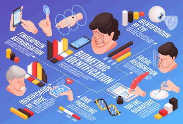 Isometric biometrics infographic flowchart vector