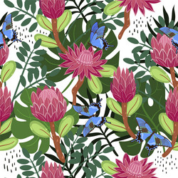 seamless pattern with proteas and butterflies vector image