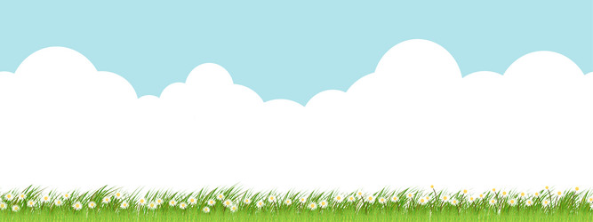 Spring Meadow Pattern vector image