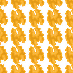 on theme big pattern identical types walnut vector image