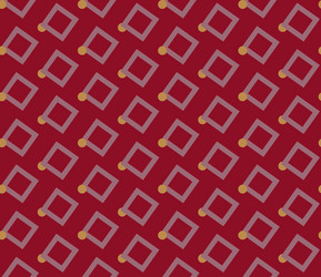 seamless patterns with abstract ornament vector image
