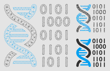 dna binary code mesh carcass model vector image