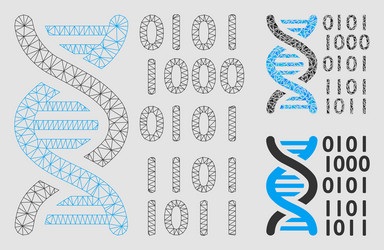 Dna binary code mesh carcass model vector