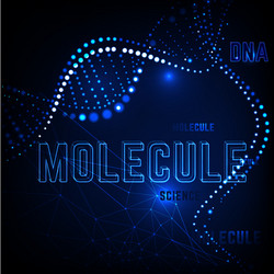 molecule background image vector image