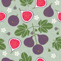 Red figs seamless pattern leaves flowers vector