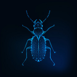 Glowing low polygonal june bug isolated on dark vector