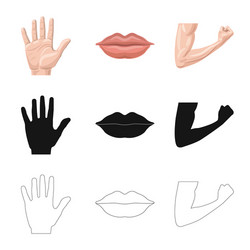 isolated object of human and part symbol vector image