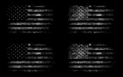 Grunge USA Flag Collection Vector Image