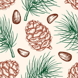 seamless pattern with pine cone and nuts vector image