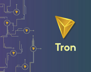 cryptocurrency tron blockchain circuit networking vector image
