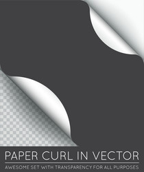 paper page curl with shadow isolated vector