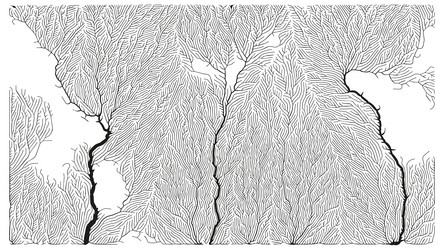 growth pattern generative branching structure vector image