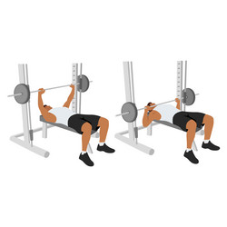 Man doing decline barbell bench press flat Vector Image