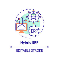 2d customizable hybrid erp line icon concept vector image