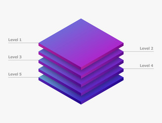 Five Layer Isometric Chart vector image