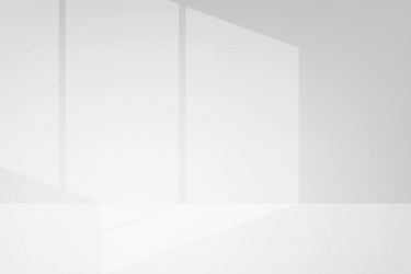 light and shadow vector image