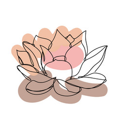 flower in a linear style on colorful background vector image