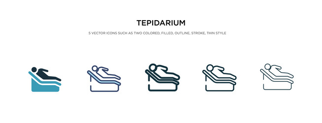 tepidarium icon in different style two colored vector image