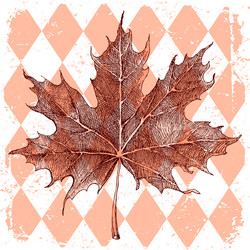 Cartoon red maple leaf Royalty Free Vector Image