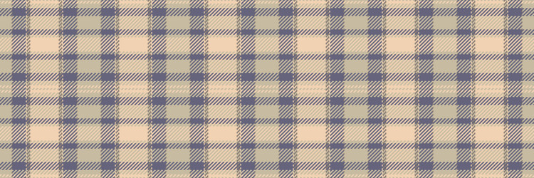 other background fabric texture multi check plaid vector image