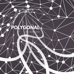 Polygonal Wireframe Mesh Background vector image