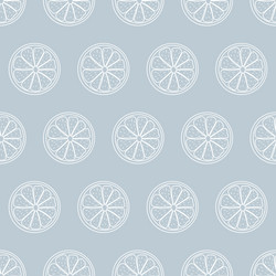 Seamless pattern with sliced pieces citrus vector