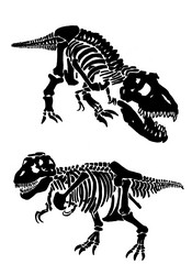 Graphical set of dinosaur skeletons isolated vector