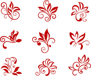 Floral Scroll Patterns vector image